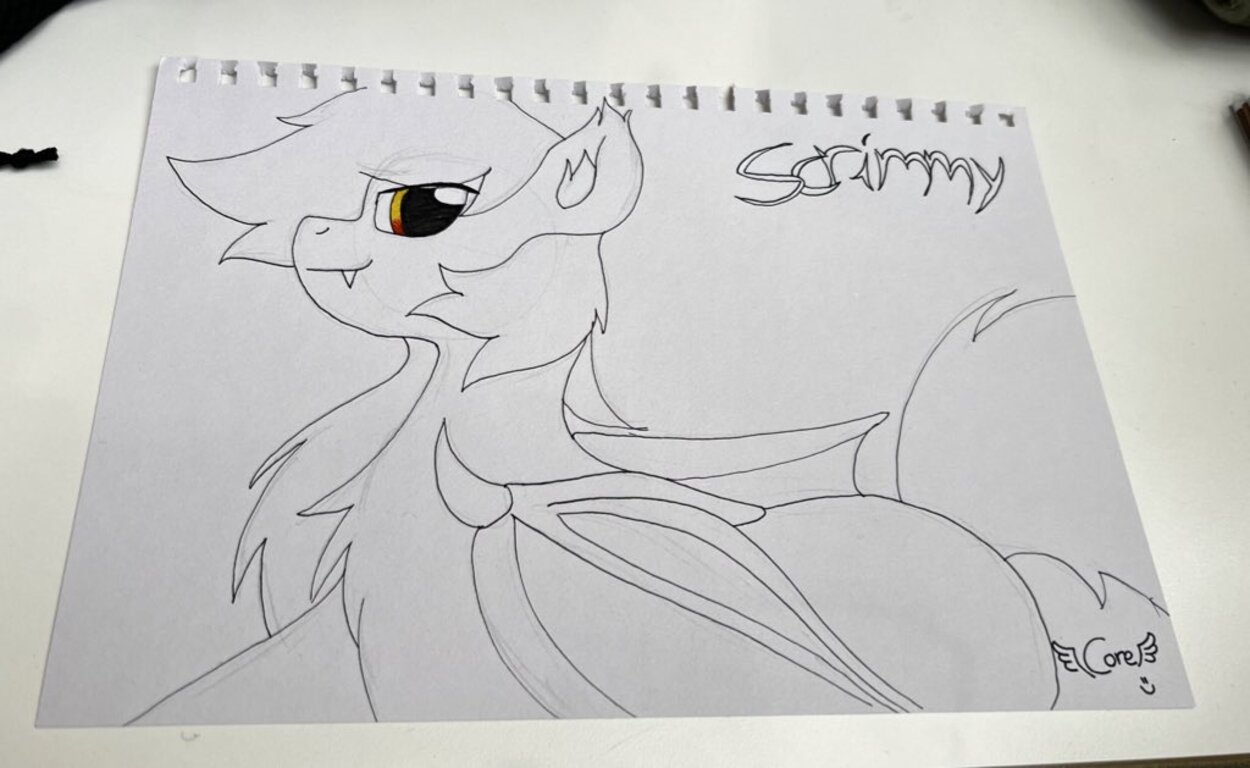 Image: Corecarnitine sketch FoF gift-2.jpg